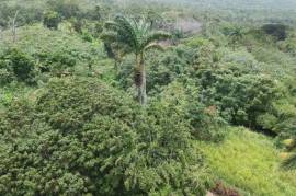 Development Land (Residential) for Sale in Highgate