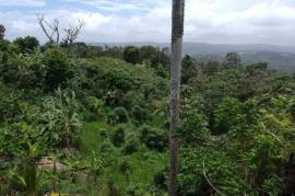 Development Land (Residential) for Sale in Highgate