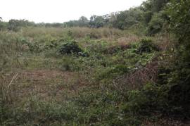 Development Land (Residential) for Sale in Santa Cruz