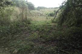 Development Land (Residential) for Sale in Santa Cruz