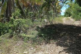 Development Land (Residential) for Sale in Santa Cruz