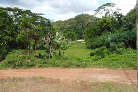 Development Land (Residential) for Sale in Bog Walk