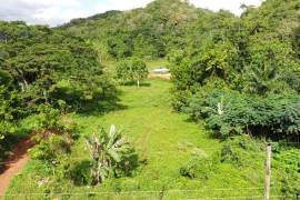 Development Land (Residential) for Sale in Bog Walk