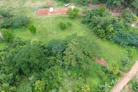 Development Land (Residential) for Sale in Bog Walk