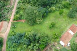 Development Land (Residential) for Sale in Bog Walk