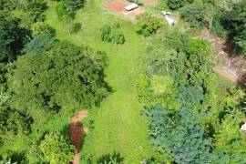 Development Land (Residential) for Sale in Bog Walk