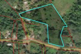 Development Land (Residential) for Sale in Bog Walk