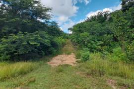 Development Land (Residential) for Sale in May Pen