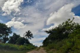 Development Land (Residential) for Sale in May Pen