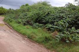 Development Land (Residential) for Sale in May Pen