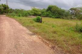 Development Land (Residential) for Sale in May Pen