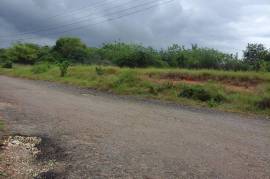 Development Land (Residential) for Sale in May Pen