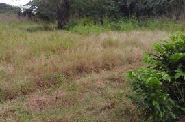 Development Land (Residential) for Sale in May Pen