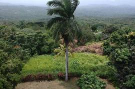 Development Land (Residential) for Sale in Highgate