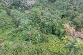 Development Land (Residential) for Sale in Highgate