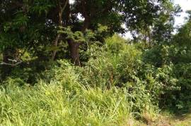 Development Land (Residential) for Sale in Spur Tree