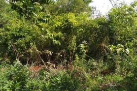 Development Land (Residential) for Sale in Spur Tree