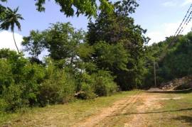 Development Land (Residential) for Sale in Spur Tree