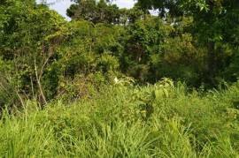 Development Land (Residential) for Sale in Spur Tree