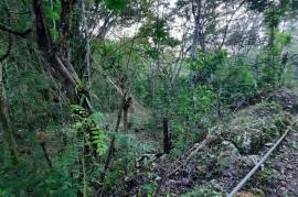 Development Land (Residential) for Sale in Ramble