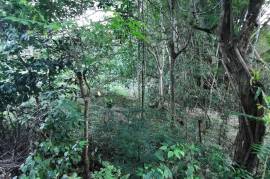 Development Land (Residential) for Sale in Ramble