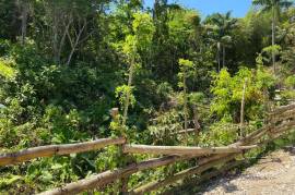 Development Land (Residential) for Sale in Askenish