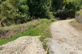 Development Land (Residential) for Sale in Askenish