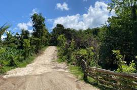 Development Land (Residential) for Sale in Askenish