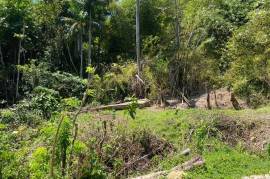 Development Land (Residential) for Sale in Askenish