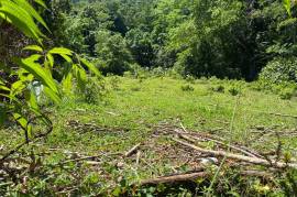 Development Land (Residential) for Sale in Askenish