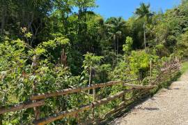 Development Land (Residential) for Sale in Askenish