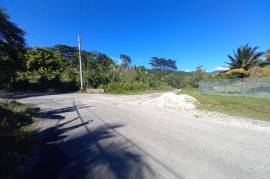 Development Land (Residential) for Sale in Spring Garden