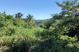 Development Land (Residential) for Sale in Spring Garden