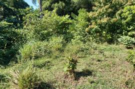 Development Land (Residential) for Sale in Spring Garden