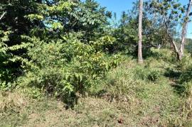 Development Land (Residential) for Sale in Spring Garden