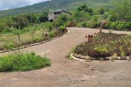 Development Land (Residential) for Sale in Spur Tree