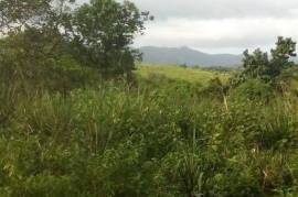 Development Land (Residential) for Sale in Linstead