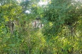 Development Land (Residential) for Sale in May Pen