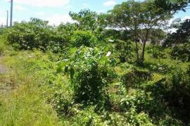 Development Land (Residential) for Sale in Santa Cruz