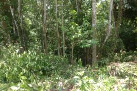 Development Land (Residential) for Sale in Gayle