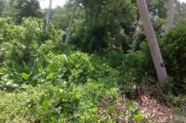 Development Land (Residential) for Sale in Gayle