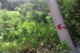 Development Land (Residential) for Sale in Gayle