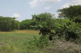 Development Land (Residential) for Sale in Braes River  Leased