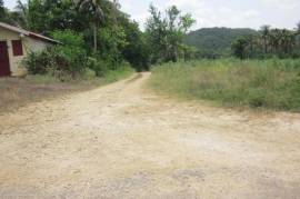 Development Land (Residential) for Sale in Braes River  Leased