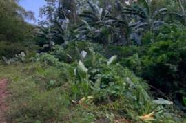 Development Land (Residential) for Sale in Mount James