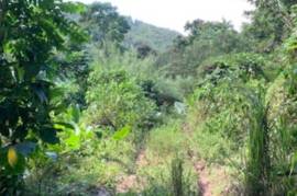 Development Land (Residential) for Sale in Mount James