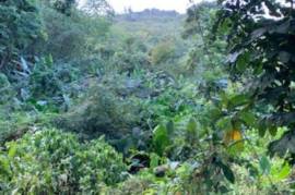 Development Land (Residential) for Sale in Mount James