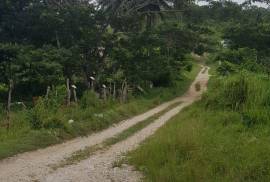 Development Land (Residential) for Sale in Falmouth