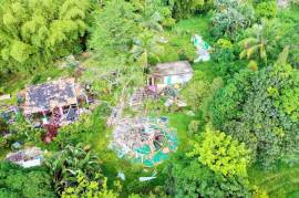 Development Land (Residential) for Rent in Negril