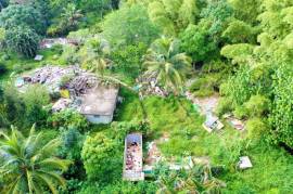 Development Land (Residential) for Rent in Negril